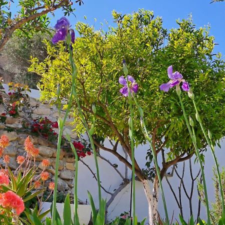 Villa Arhondia House Ierápetra Exterior foto